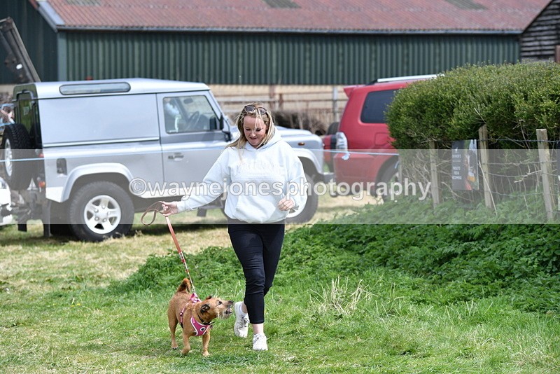 WJ5_0463 - Class 7 Best Terrier