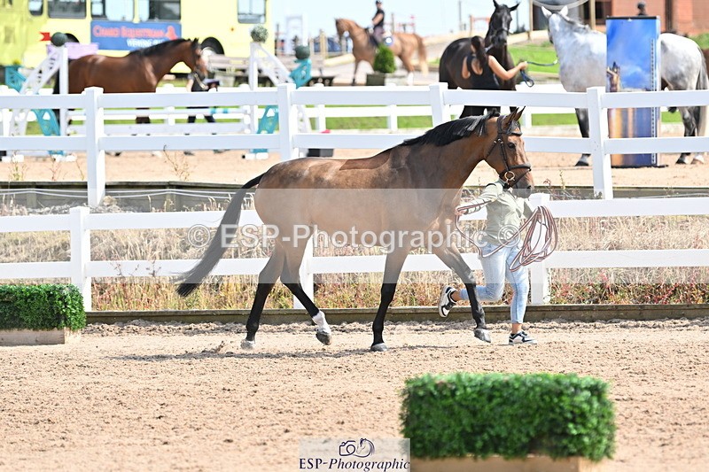 240717A-154926-03074 - Trot Up 3pm to 4pm