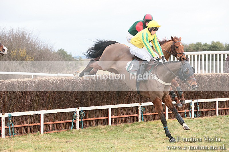 PtP 230119 56 - Royal Artillery Point-to-Point  - Larkhill  - 26/01/19
