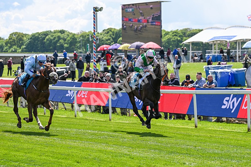 140526-Race 1-Persian Spring-4360 - Race 1 1.45pm Sky Bet ebfstallions.com Novice Stakes