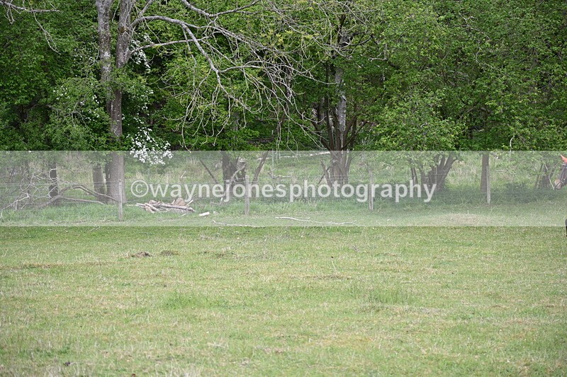 WJ6_1332 - Group 2 A&B Cameras