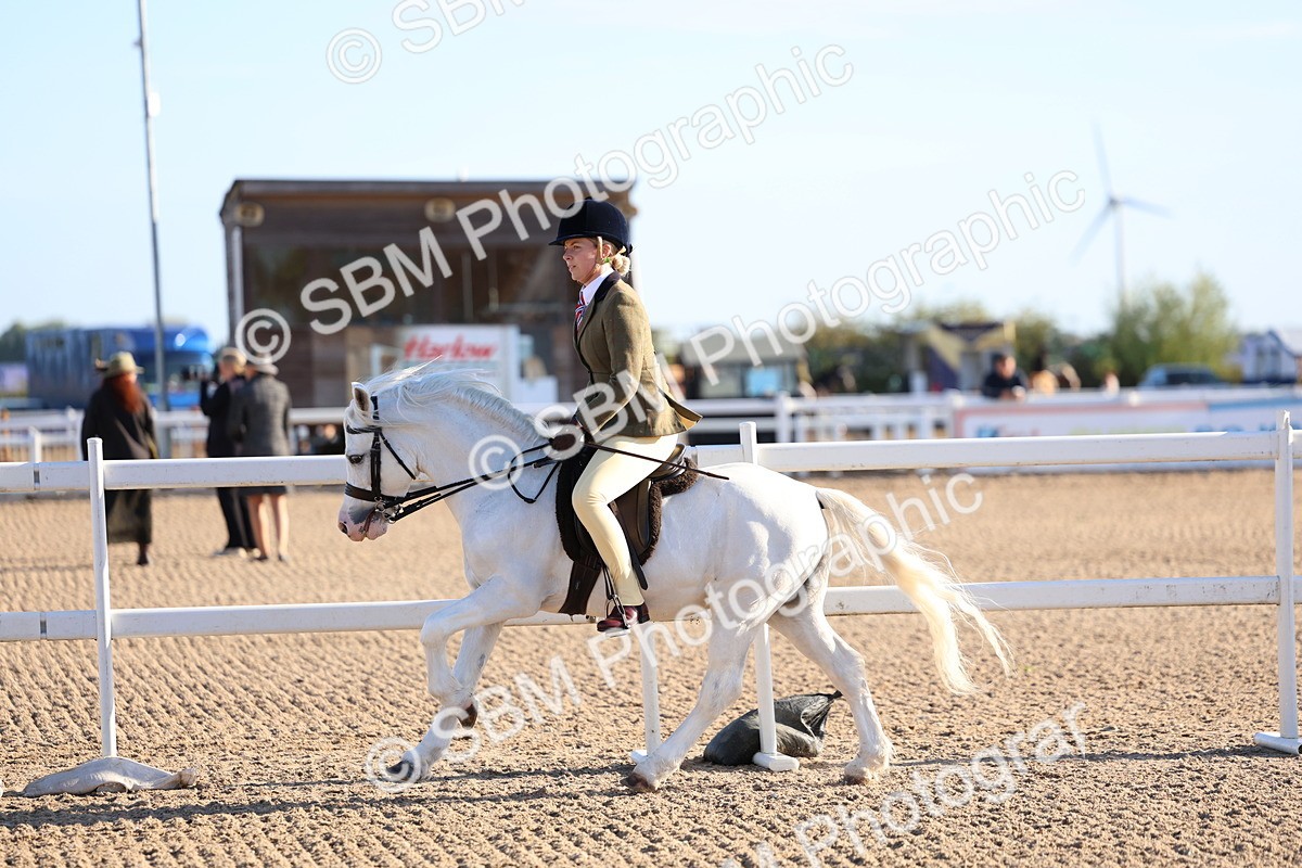 SBM_07817 - Class 301 - Ridden M&M - Small Breeds