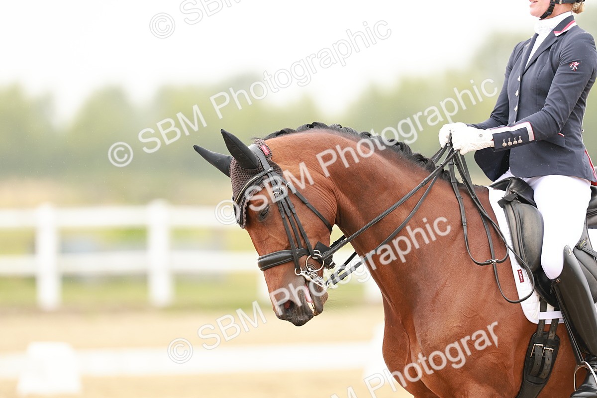 SBM_010513 - Class 11 - Elementary 6 - 13.44-14.24