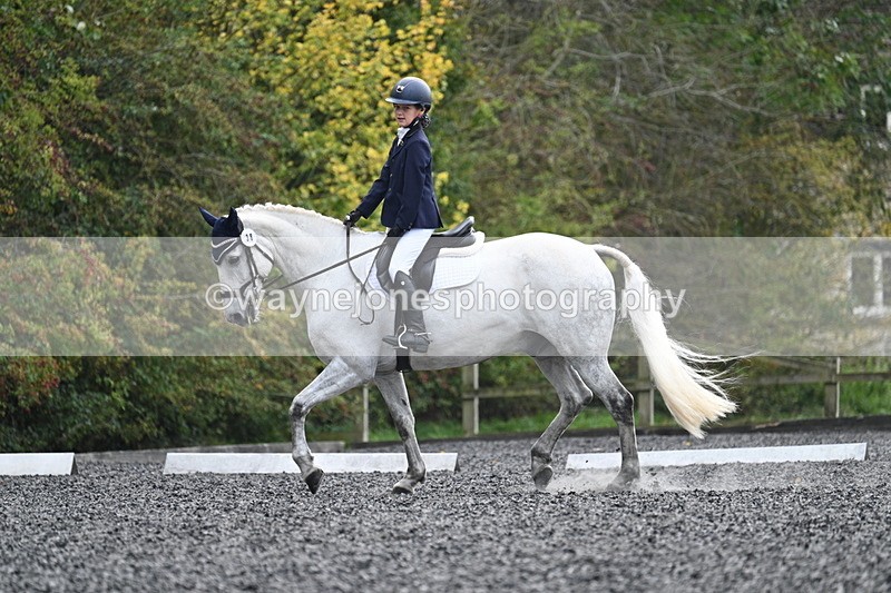 WJ7_6015 - Time 14:10 to 14:45