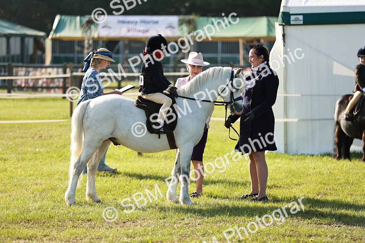 SBM_11090 - Class 106-107 - BSPS LIHS Working Sports Pony