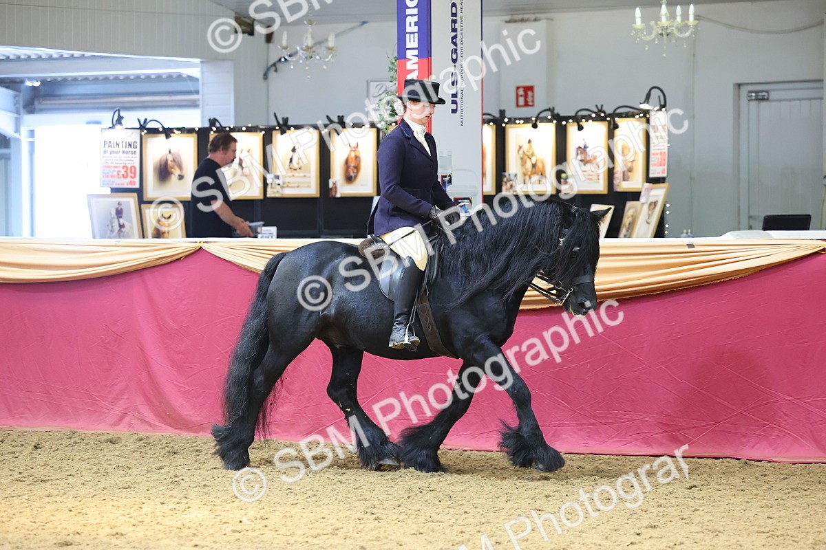 SBM_24050 - Class 905 - Supreme Final - Ridden Veteran