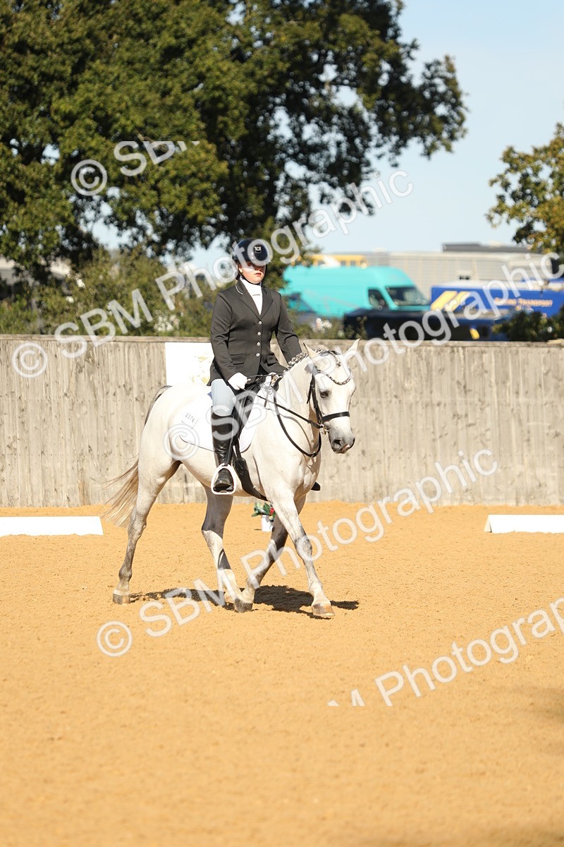 SBM_37981 - D21 - Junior Championship - Intro A