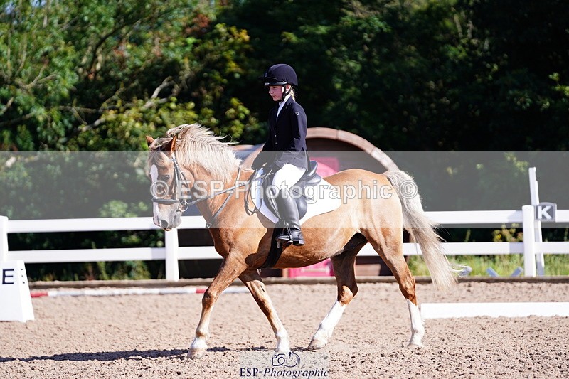 240809A-091122-00169 - Dressage Competition