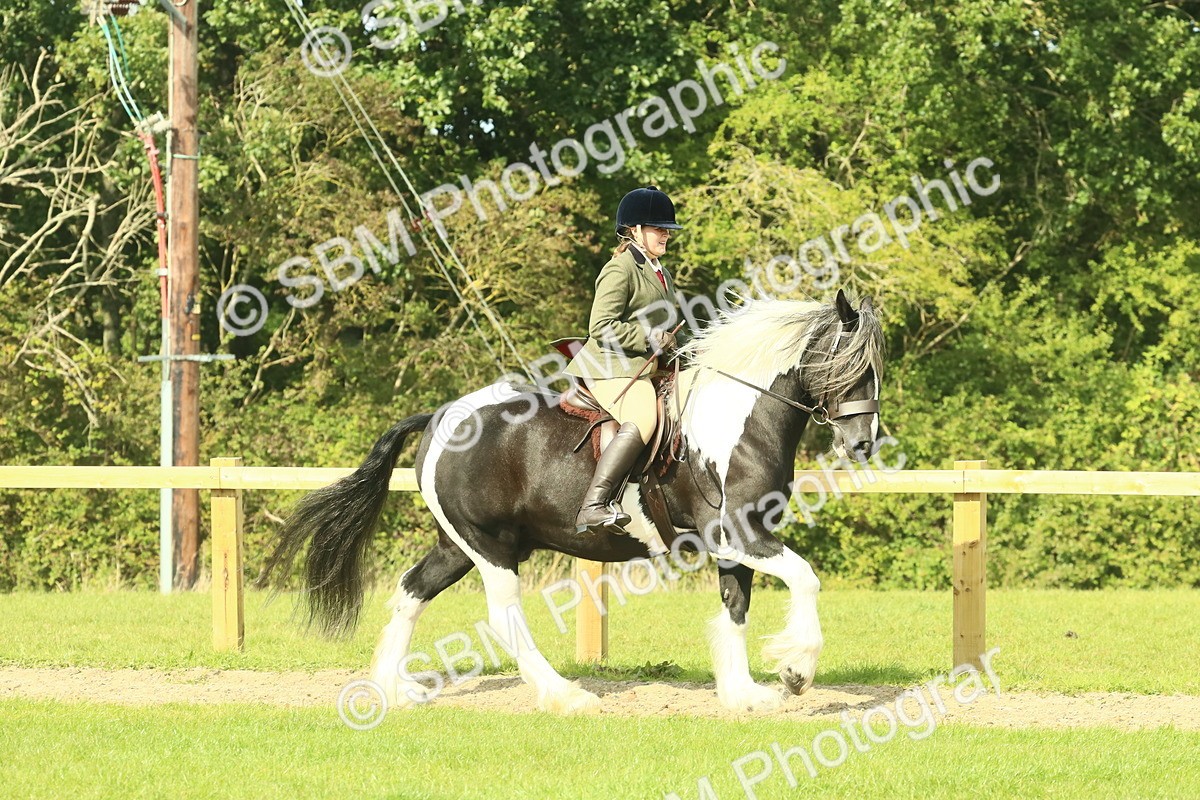 SBM_67444 - S56 - Coloured Pony Ridden