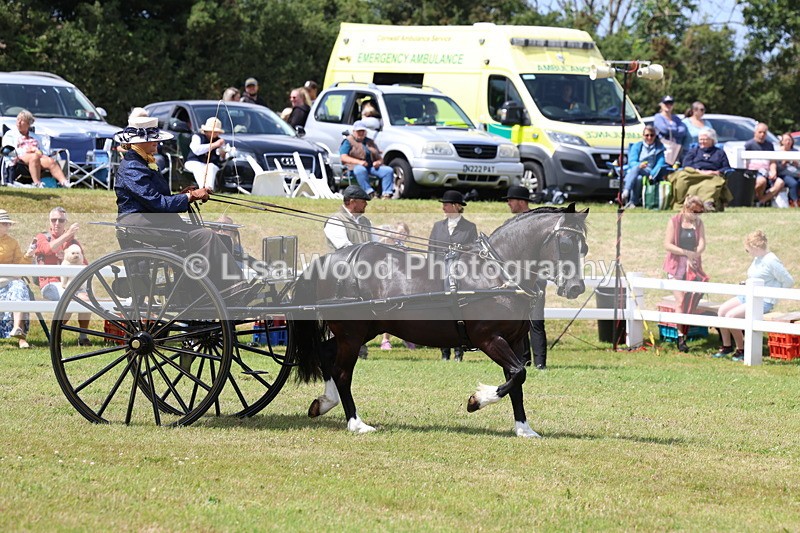 3E7A2688 - Class 12: Open Driving