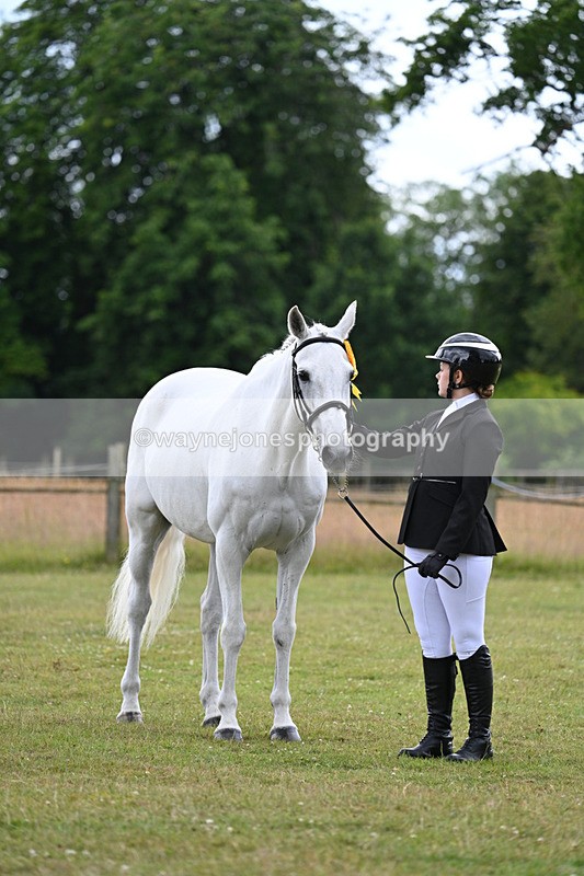 WJ7_7337 - Champs