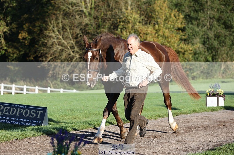 241027-084505-14793 - 315-Andrew.Winterton-STALLONE