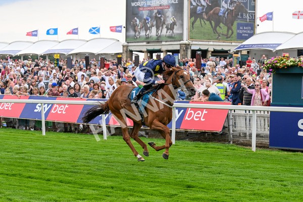 260725-Race 1-Golden Palace-0210 - Race 1 1.25pm £100K ITV7 Jackpot Today EBF Fillies' Novice Stakes