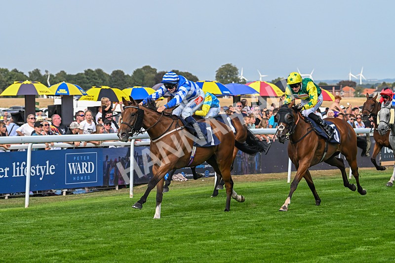 240825-Race 5-This Years Love-3416 - Race 5