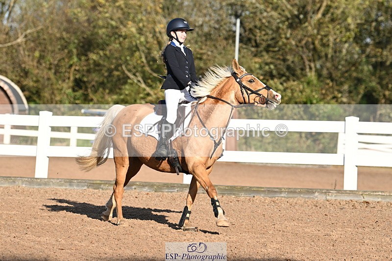 241026A-103402-00187 - SAT Cls 3 Pony Intro 70cm