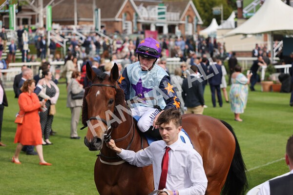 yr13052022r6-4 - Race 6 4.45pm Yorkshire Equine Practice Stakes