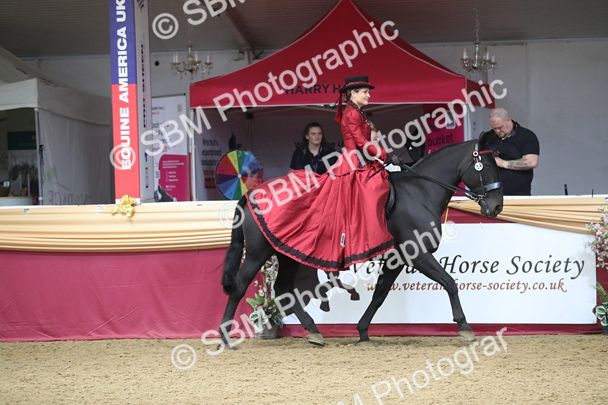 SBM_12122 - Class 107 Ridden Costume- Astride Adult (20+)