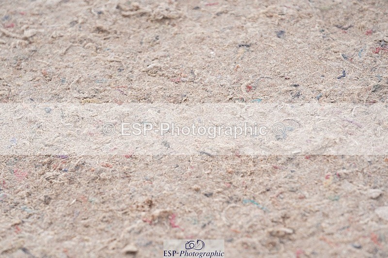 250425-100340-08437 - Cls 30 Young Horse 6yr old