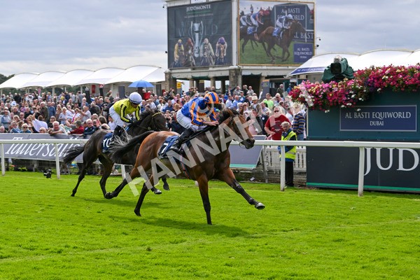 210824-Race 2-The Lion In Winter-4751 - Race 2 2.25pm Tattersalls Acomb Stakes