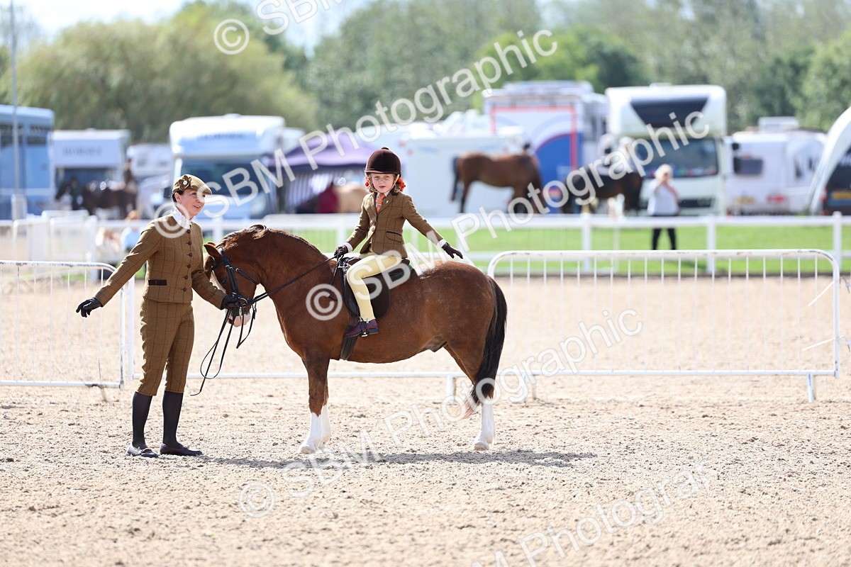 SBM_13071 - Class 309 - Lead Rein Pony