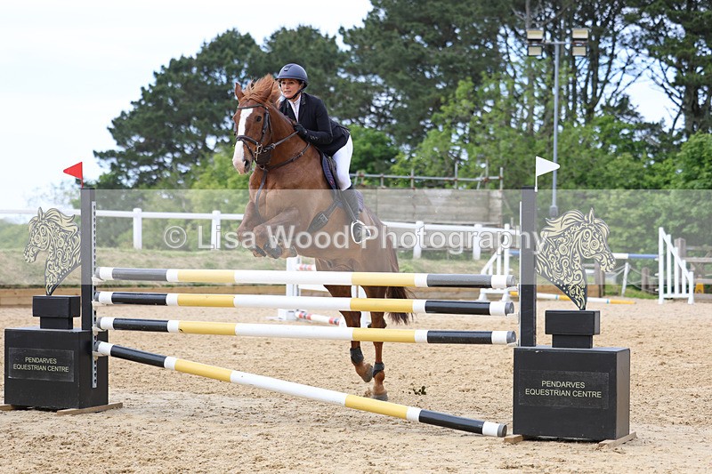 3E7A7480 - Class 8: Senior Foxhunter/1.20 open