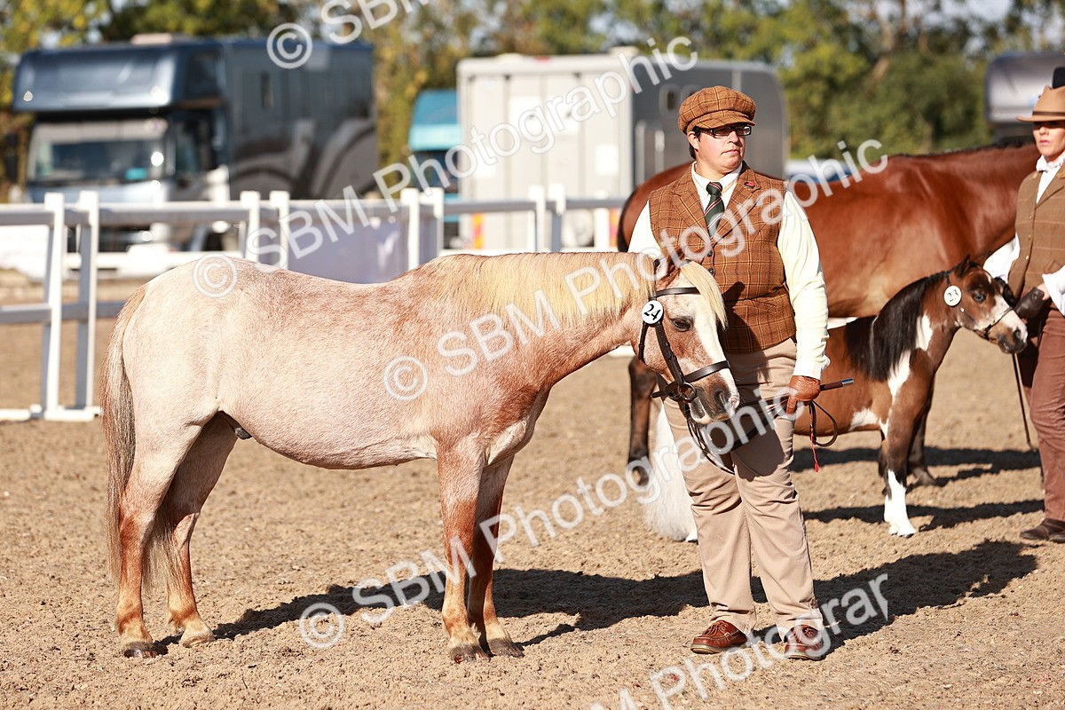 SBM_11423 - Class 402 - IH  Veteran pony