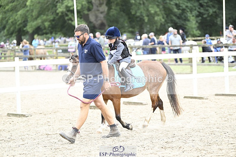 240822X-133612-08294 - 40cm LR R2 13.00 to 15.00