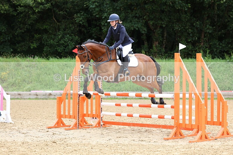 3E7A5991 - Class 4: Senior British Novice/90cm open