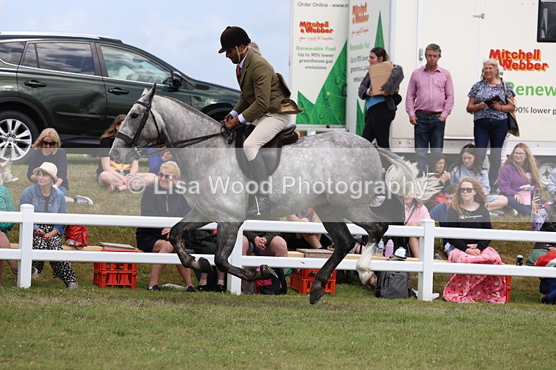 3E7A2085 - Class 10: Open Cob