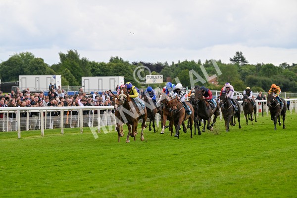 140624-Race 5-Ron O-4827 - Race 5 4.10pm Juddmonte EBF Fillies Restricted Novice Stakes