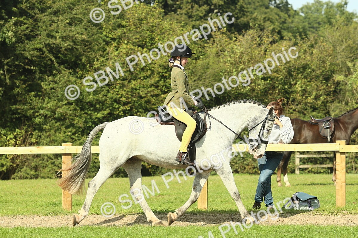 SBM_67427 - S56 - Coloured Pony Ridden