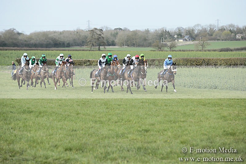 PtP 230319 403 - VWH Hunt Siddington Point-to-Point Racing 23/03/19