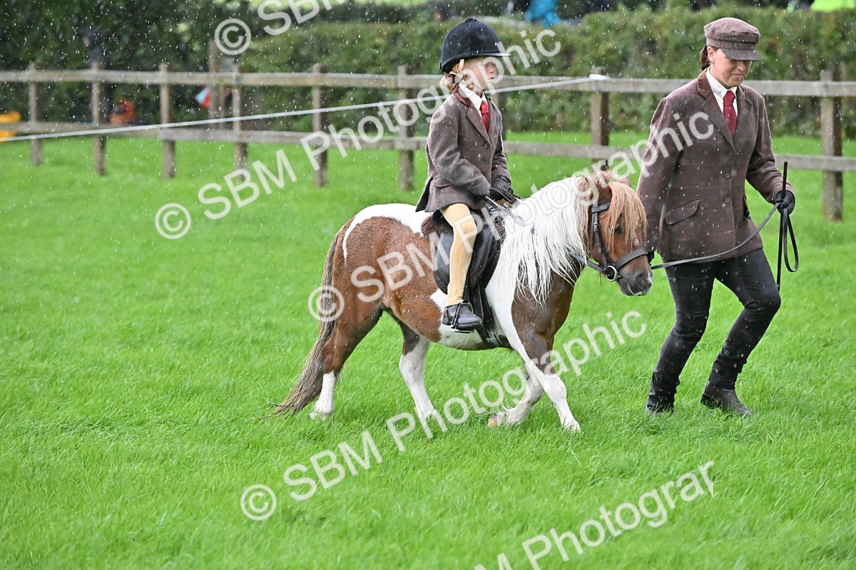 SBM_36455 - S18 - Novice & Newcomer Lead Rein Pony