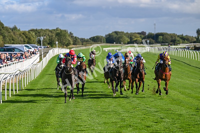 100924-Race 5-Crocodile Power-0424 - Race 5