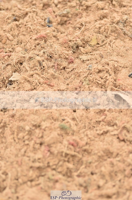 230720A-122102-02527 - Cls 13, 1 Star Bronze 1.10m