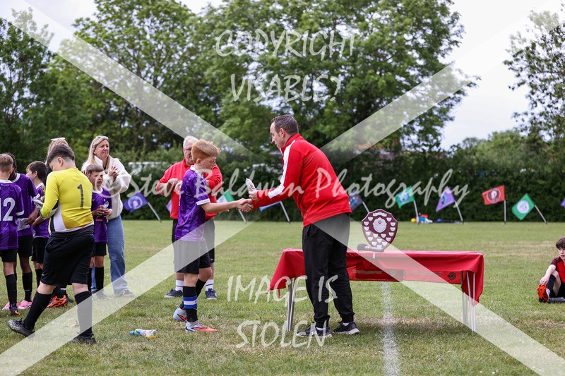 1DX31565 - Brook Field V Goddard Park