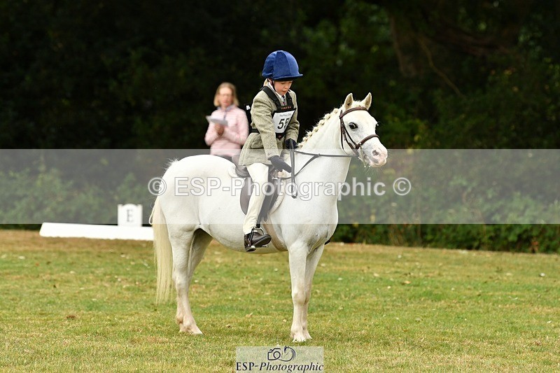 250820A-113817-05174 - 11am to 12