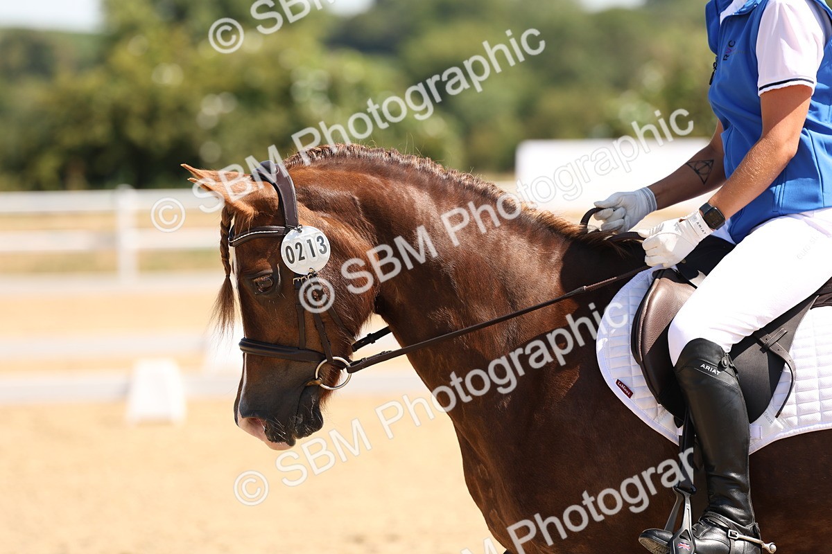 SBM_001123 - Intro 2