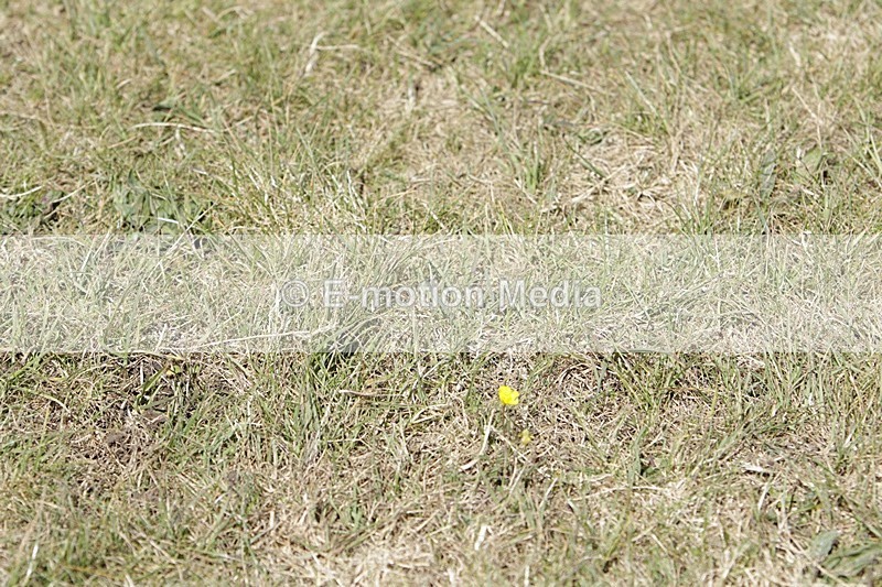 BVHT 140517 I-828 - Class 1 SJ Intermediate 14/05/17