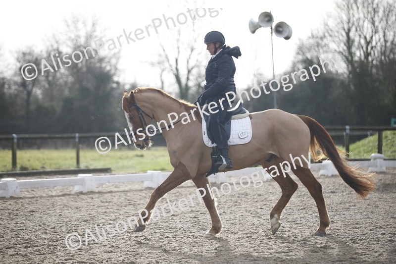 20260127-0341 - Class 16 - BD Novice 2