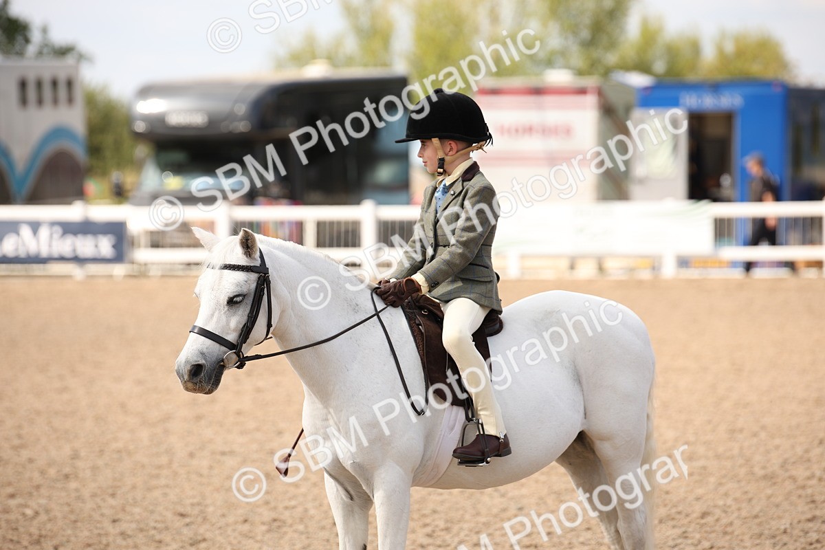 SBM_03781 - Class 19 Judge's Favourite