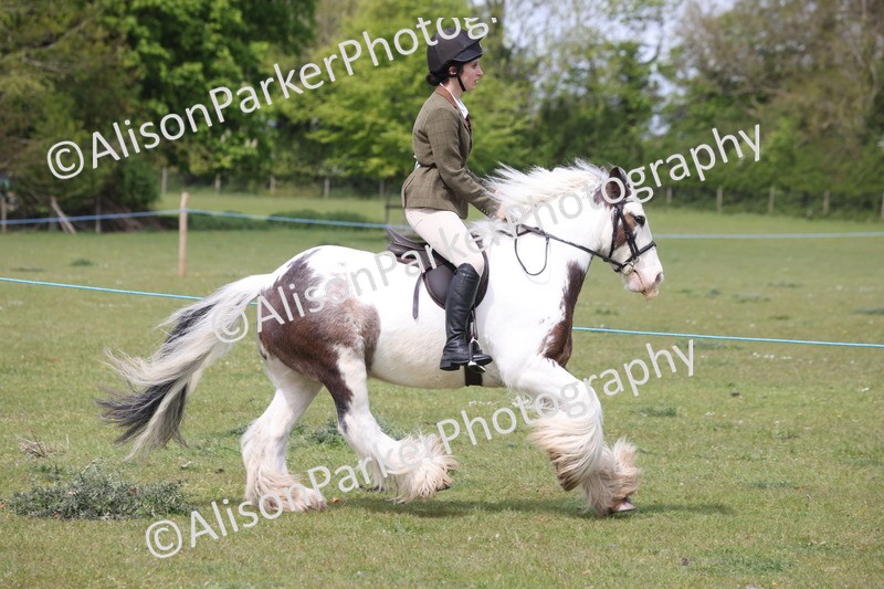 20260426-2985 - Class 33 - Best Pony 14.2hh and Under