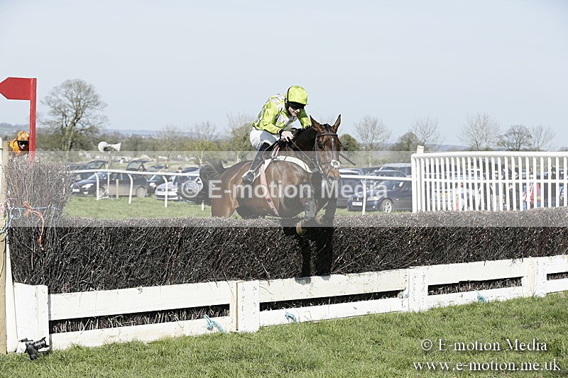 PtP 260317 282 - Mendip Farmers Point-to-Point Ston Easton 26/03/17