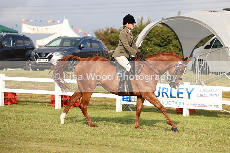 3E7A7690 - Class 1: Rising Star Small Hack/Riding Horses