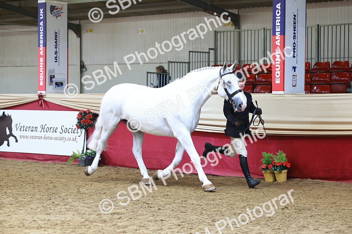 SBM_23188 - Class 903 - Supreme Final - IH Pre Vet