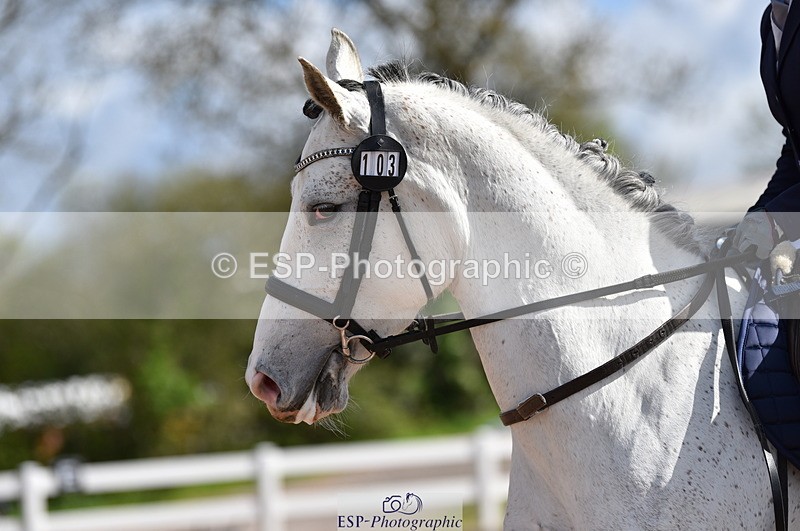 230511A-100005-00167 - BD Cls 2 Prelim 17A