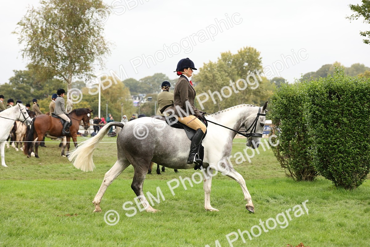 SBM_69888 - S68 - Other Coloured Horse Ridden