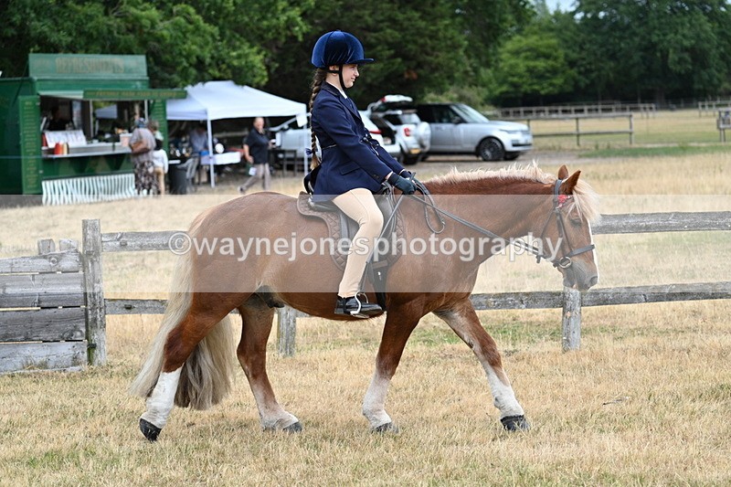 WJ7_0272 - Class 2 Best rider