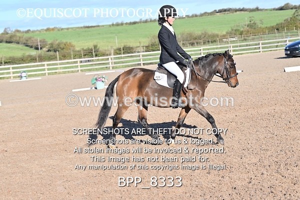 BPP_8333 - LONG ARENA