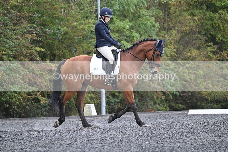 WJ7_3357 - Time 09:54 to 10:54